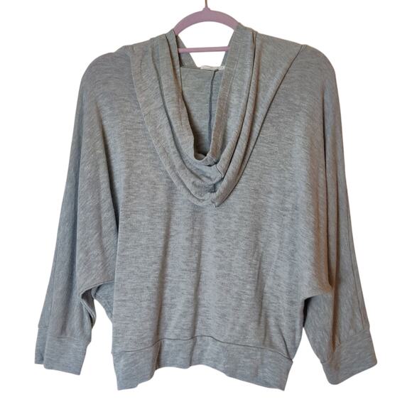 Poetry Triumph Spell Out Graphic Gray Cropped Relaxed Hoodie Sweatshirt Medium - Picture 2 of 9